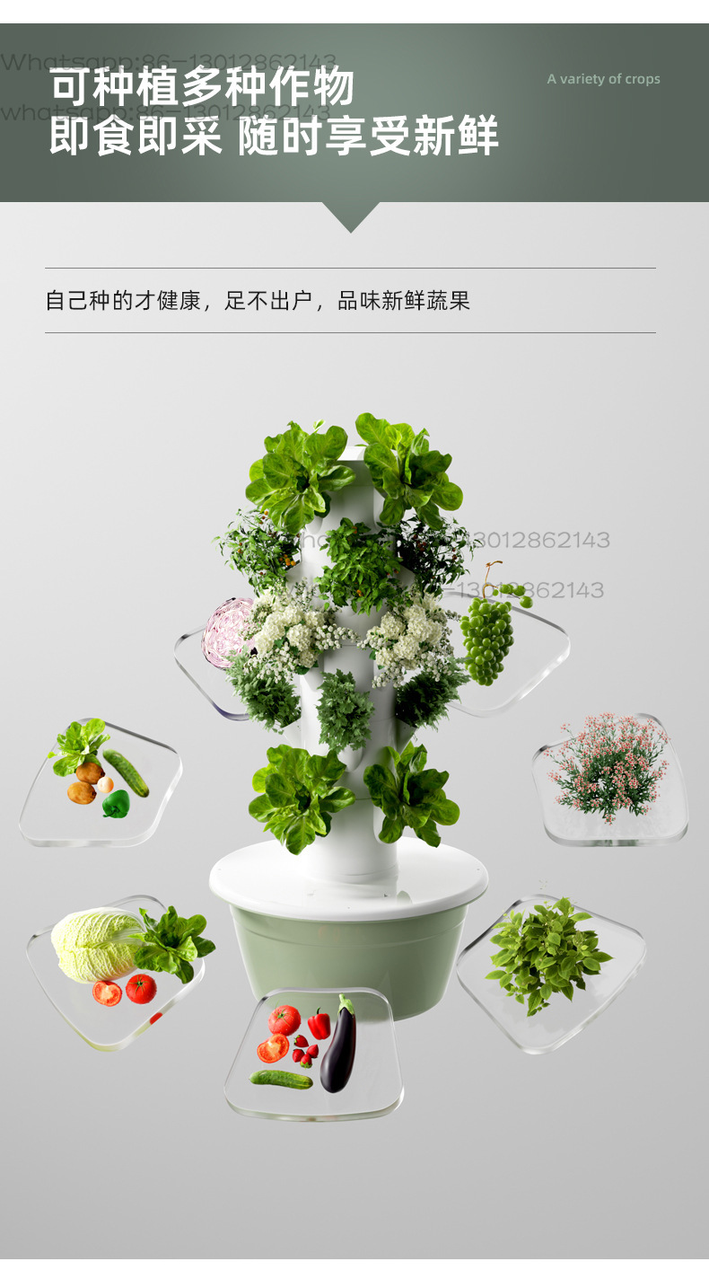 Culture des plantes Plantes en - Office Furniture Depot 评论和价格